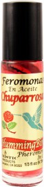 Hummingbird / Chuparrosa