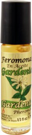 Gardenia / Gardenia