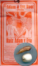 Pair Of Adam & Eve Roots