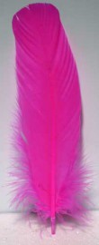 Pink Feather 12"  Set of 10