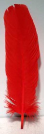 Red Feather 12"  Set of 10