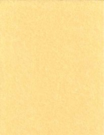 Light Parchment 500 Pack (8 1/2