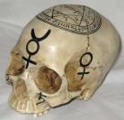 Mystic Skull